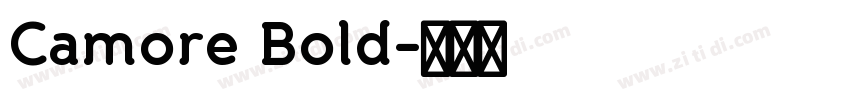 Camore Bold字体转换